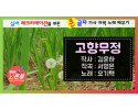 고향무정.jpg