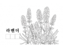 라벤터.png