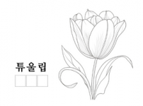튜울립.png