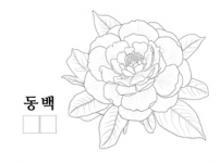동백.png