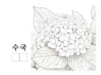 수국.png