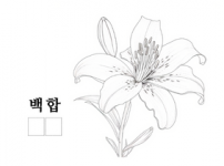 백합.png