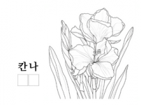 칸나.png
