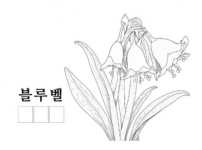 블루벨.png
